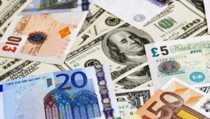 Euo/TL 9u, dolar/TL ise 7,40ın üzerinde