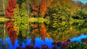 Atatürkün mirasına büyük saygısızlık! Düğün salonu yapacaklar