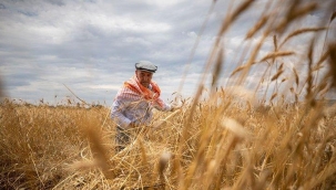 İzmir Büyükşehir Belediyesi'nden tarıma destek