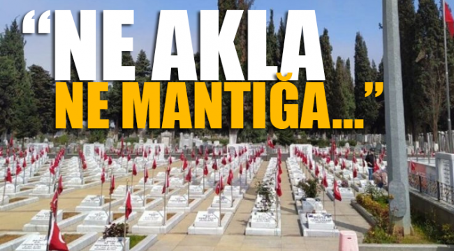 AKPli belediye, mermerler kirleniyor diye ağaç kesti