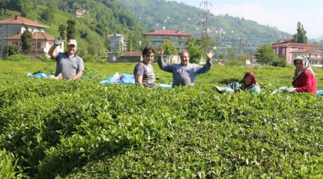 Karadeniz'de durum vahim: Vakalar yüzde 400 arttı