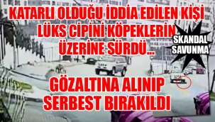 Başakşehirde dehşet anları: Bir köpek feci şekilde öldü