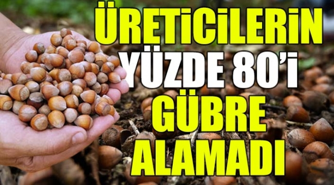 Fındık üretiminde kriz