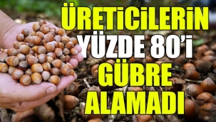 Fındık üretiminde kriz