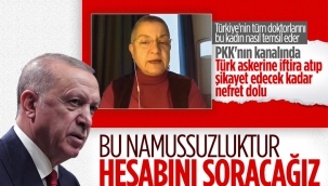 Cumhurbaşkanı Erdoğan, kimyasal silah iddialarıyla ilgili konuştu