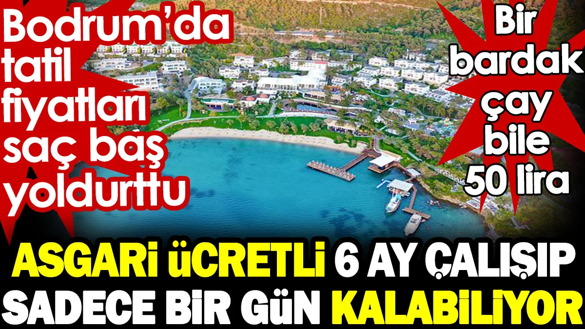 Bodrum'da tatil fiyatları saç baş yoldurttu