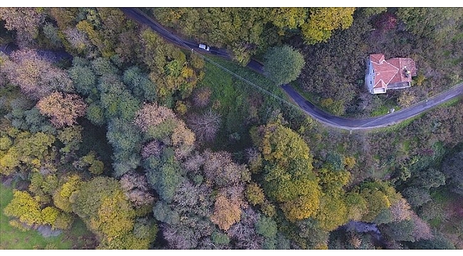 Bodrum'da CHP'li Meclis Üyesi Özden'e ormanda özel imar izni