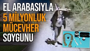 El arabasıyla geldiği villadan 5 milyon liralık mücevher bulunan çelik kasayı çaldı