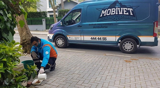 BAŞKAN RIZA AKPOLAT: SOKAK HAYVANLARI KONUSU BÜTÜNCÜL BİÇİMDE ELE ALINMALI