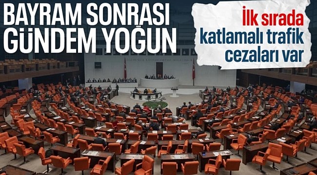Trafik cezaları artırılacak: Teklif, Genel Kurul'da görüşülecek 